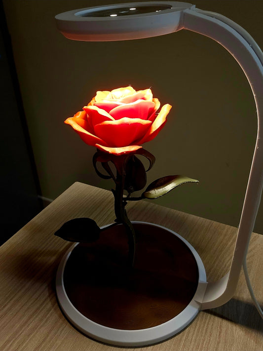 💡🌸 Botanica Luminosa