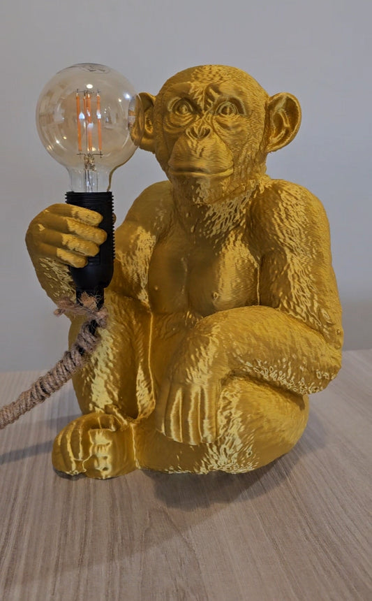 💡🐒Monkey Lumìere