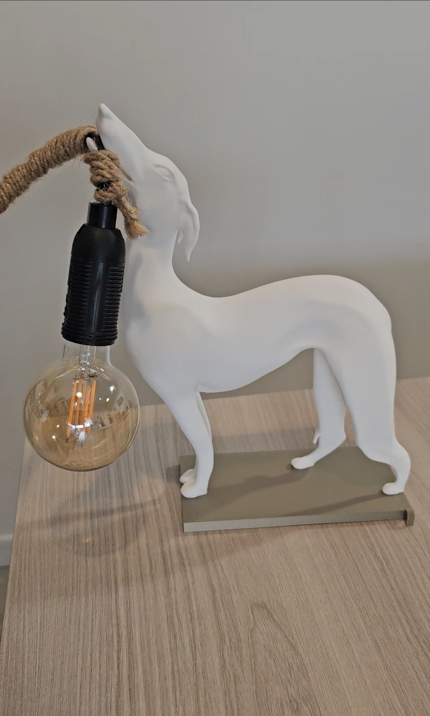 💡🐕 Lampada Levriero