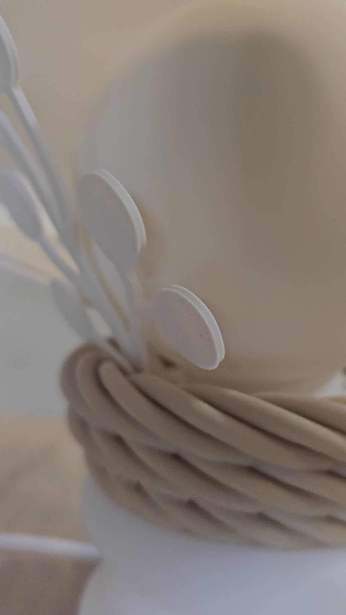 🌕Alba Ritual - Iuce che nasce