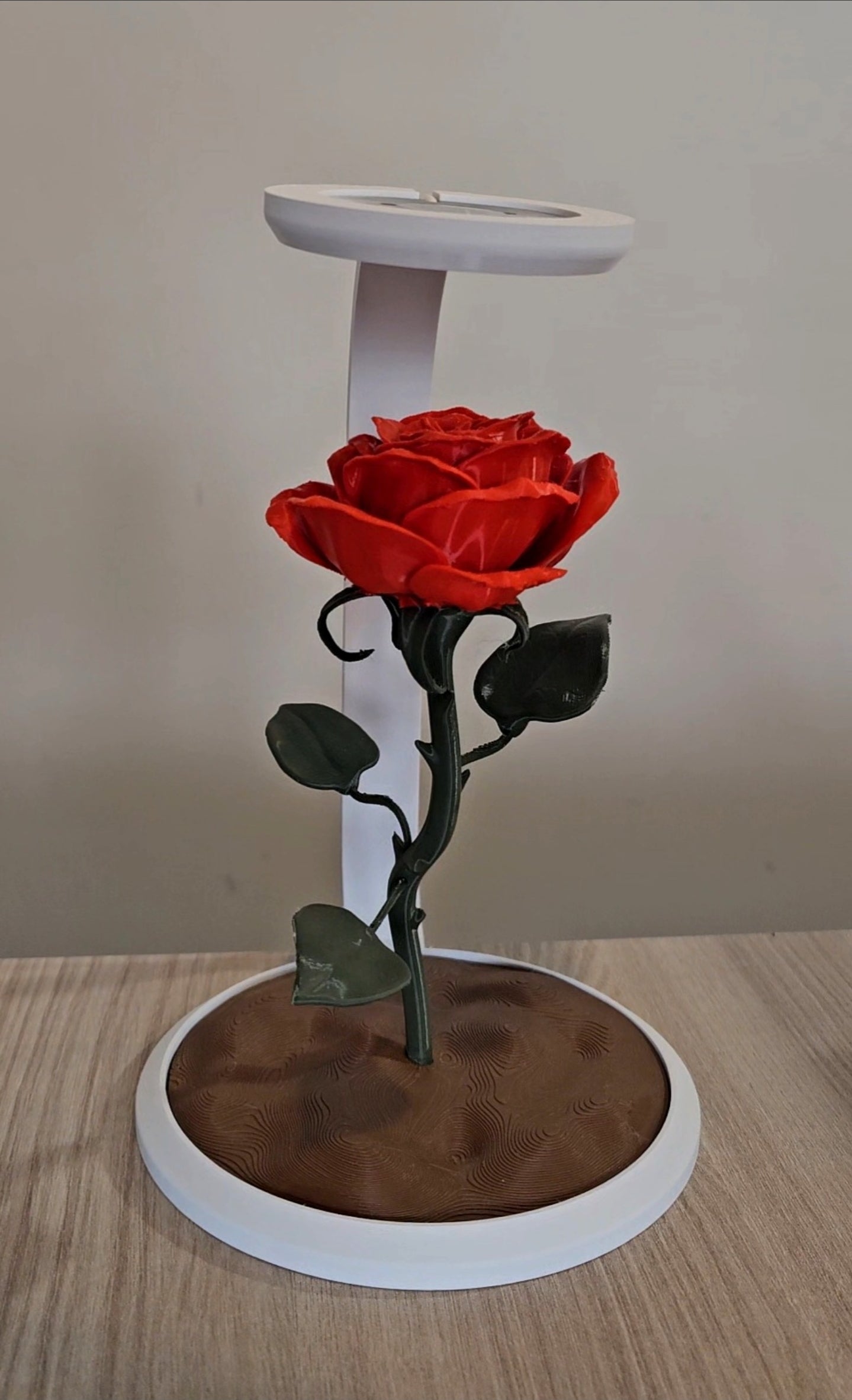 💡🌸 Botanica Luminosa