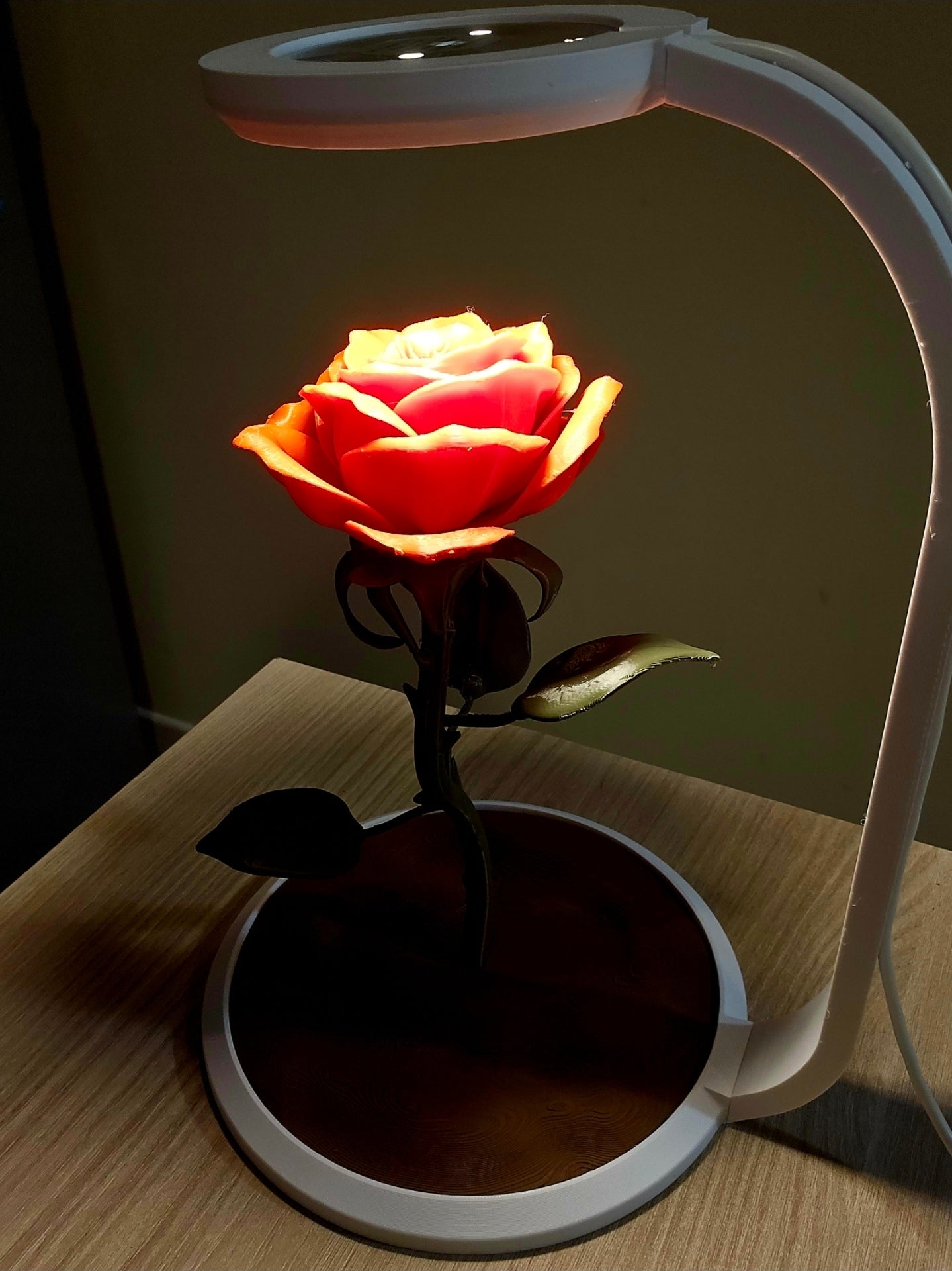 💡🌸 Botanica Luminosa