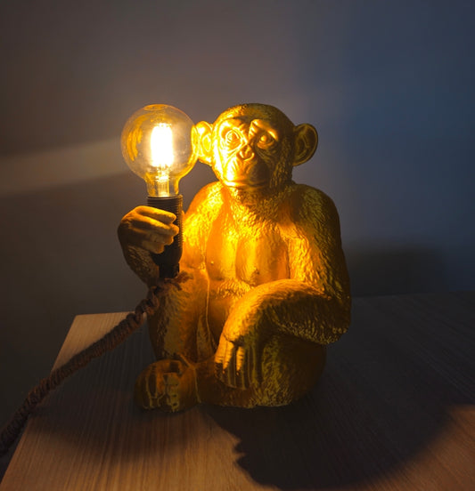 💡🐒Monkey Lumìere