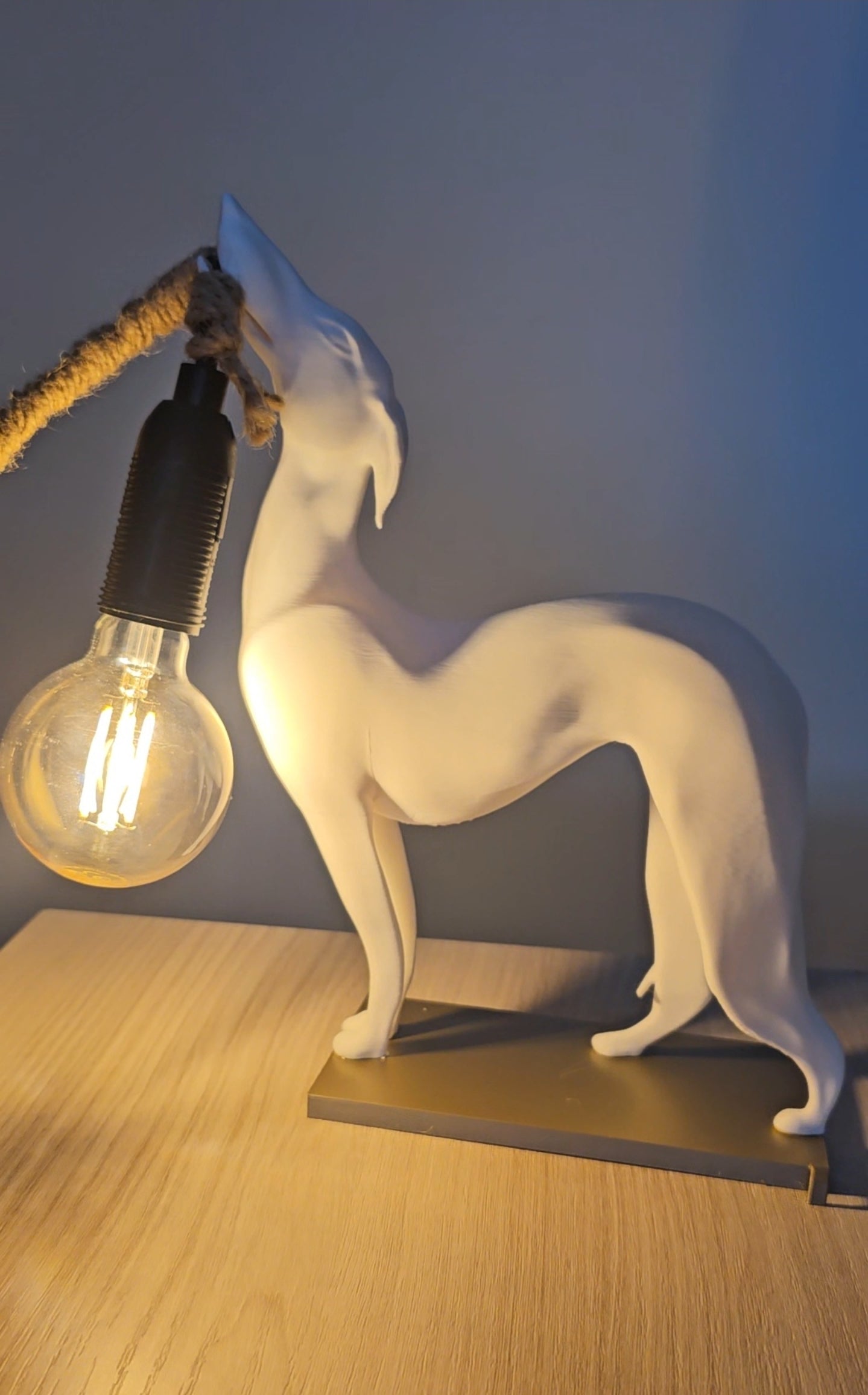 💡🐕 Lampada Levriero